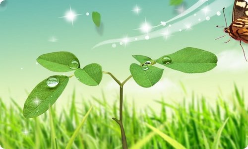 员工的个人述职报告(15篇)